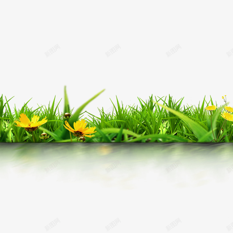 春天植物花卉透明底图绿色PNS透明底png_新图网 https://ixintu.com 透明 春天 植物 花卉 底图 绿色