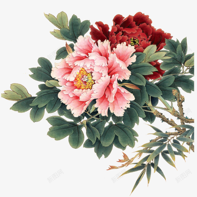 音画梅花荷花抠图139雨后惊鸿K植物png免抠素材_新图网 https://ixintu.com 音画 梅花 荷花 抠图 雨后 惊鸿 植物
