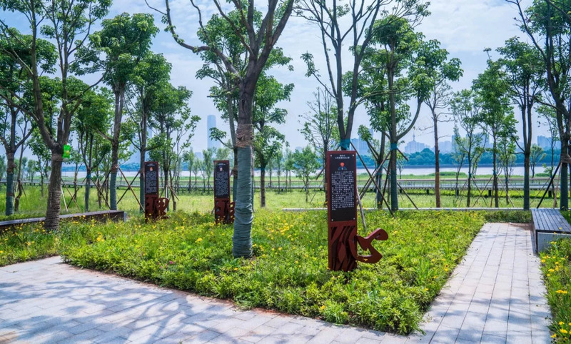 漫流左岸逍遥江滩长沙湘江江滩公园jpg设计背景_新图网 https://ixintu.com 春天 植物 绿色 公园 清新 树 小草 草坪 标志牌 小路 跑道 天空 晨练