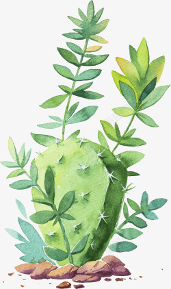 手绘水彩多肉仙人掌盆栽绿色植物装饰插画AI矢量图V素材