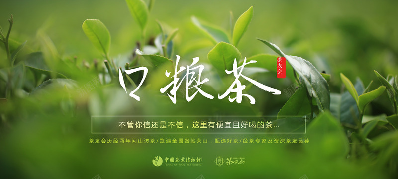 茶类春茶秋茶铁观音普洱菊花jpg设计背景_新图网 https://ixintu.com 茶类 春茶 秋茶 铁观音 普洱 菊花
