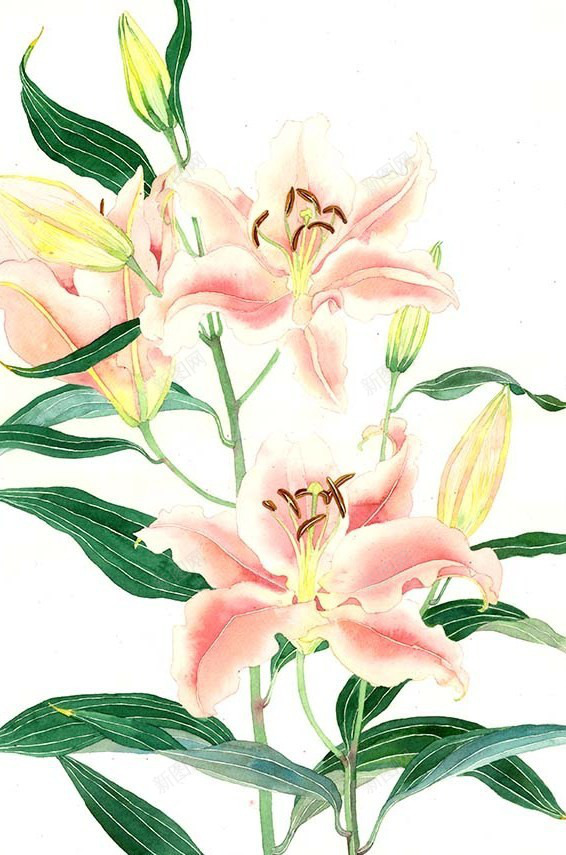 水彩手绘花碎花田园墙纸平铺iPhone壁纸手绘花jpg设计背景_新图网 https://ixintu.com 手绘 水彩 碎花 田园 墙纸 平铺 壁纸