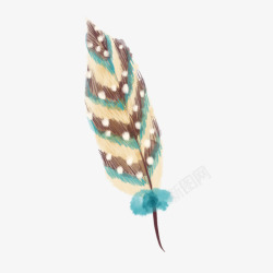 唯美透明免扣彩色羽毛卡通手绘创意艺术漂浮动物羽毛羽素材