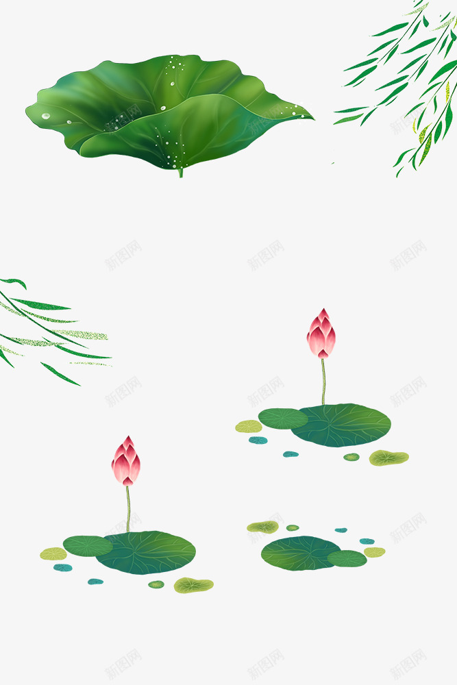 手绘荷叶荷花柳条png免抠素材_新图网 https://ixintu.com 手绘 荷叶 荷花 柳条