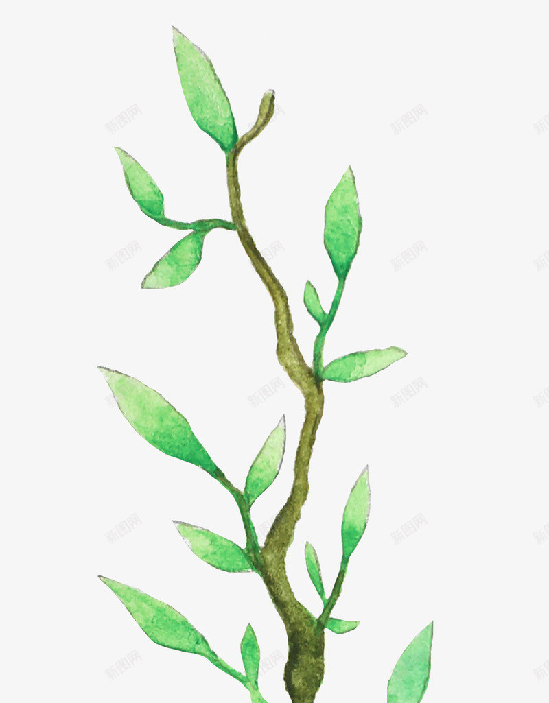 手绘水彩森系植物花卉火烈鸟贺卡装饰图案手账幅37png免抠素材_新图网 https://ixintu.com 手绘 水彩 森系 植物 花卉 火烈 烈鸟 贺卡 装饰 图案 手账幅