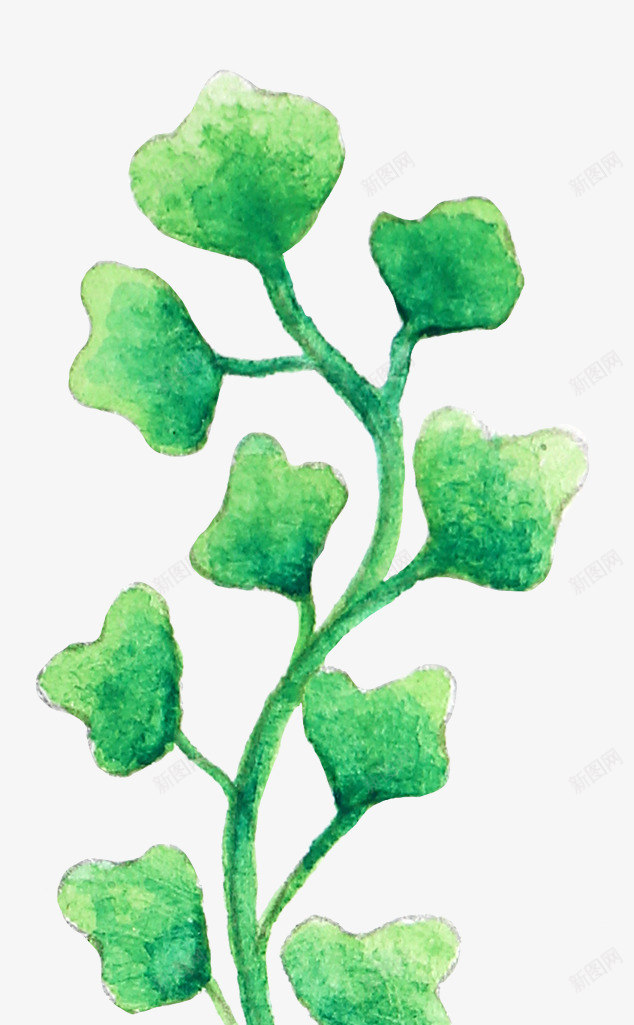 手绘水彩森系植物花卉火烈鸟贺卡装饰图案手账幅33png免抠素材_新图网 https://ixintu.com 手绘 水彩 森系 植物 花卉 火烈 烈鸟 贺卡 装饰 图案 手账幅
