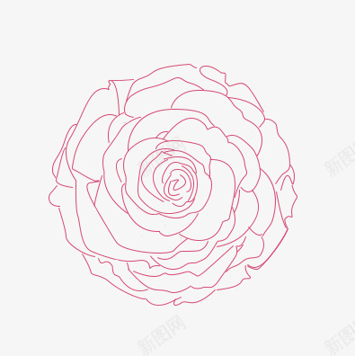 自制玫瑰花线稿png免抠素材_新图网 https://ixintu.com 自制 玫瑰花 线稿