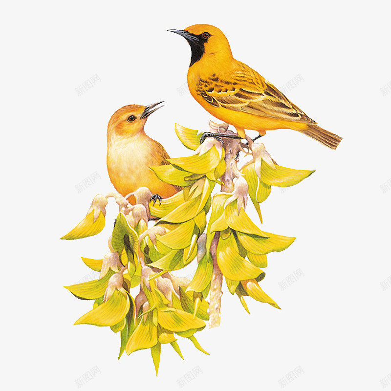 古风素菜动漫高光手绘墨迹真人意境IC红线看图古风吧png免抠素材_新图网 https://ixintu.com 古风 素菜 动漫 高光 手绘 墨迹 真人 意境 红线 看图
