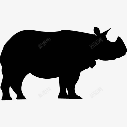 各类动物昆虫黑白剪影AI矢量图案图标合集582png免抠素材_新图网 https://ixintu.com 各类 动物 昆虫 黑白 剪影 矢量 矢量图 图案 图标 合集