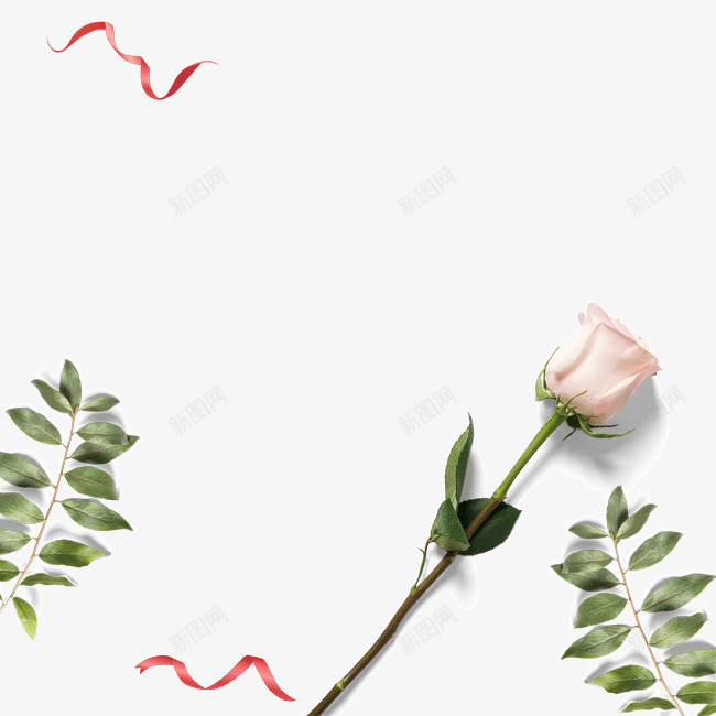 玫瑰花2png免抠素材_新图网 https://ixintu.com 玫瑰花