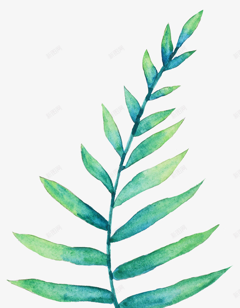 手绘水彩森系植物花卉火烈鸟贺卡装饰图案手账幅35png免抠素材_新图网 https://ixintu.com 手绘 水彩 森系 植物 花卉 火烈 烈鸟 贺卡 装饰 图案 手账幅