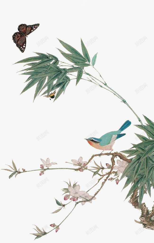 手绘花鸟画透明装饰png免抠素材_新图网 https://ixintu.com 手绘 花鸟画 透明 装饰