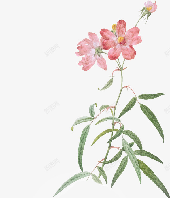 搭配速成班花语撩人美好春季不辜负png免抠素材_新图网 https://ixintu.com 搭配 速成班 花语 撩人 美好 春季 辜负