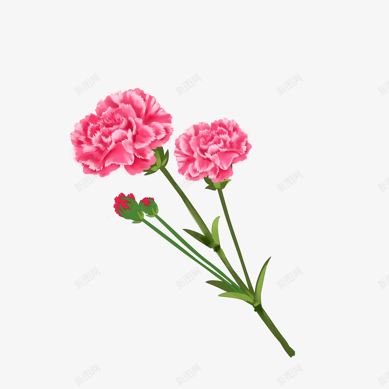 母亲节花png免抠素材_新图网 https://ixintu.com 母亲节