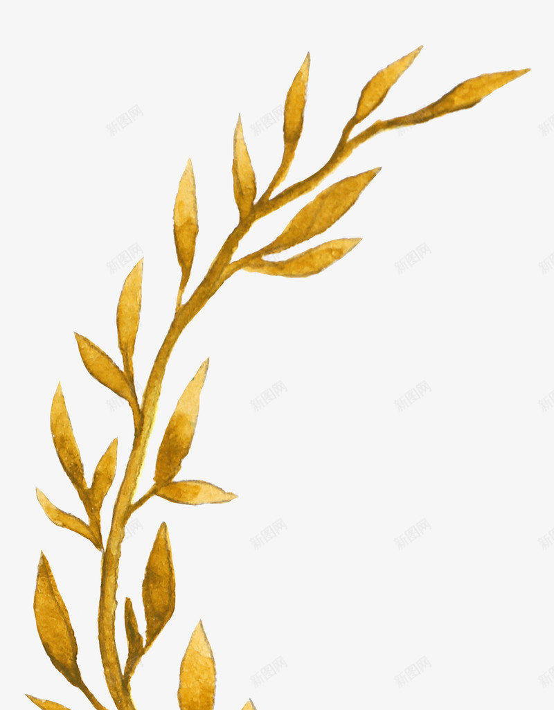 手绘水彩森系植物花卉火烈鸟贺卡装饰图案手账幅36png免抠素材_新图网 https://ixintu.com 手绘 水彩 森系 植物 花卉 火烈 烈鸟 贺卡 装饰 图案 手账幅