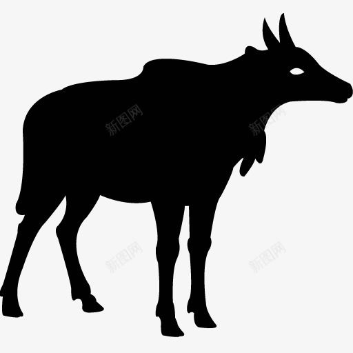 各类动物昆虫黑白剪影AI矢量图案图标合集629png免抠素材_新图网 https://ixintu.com 各类 动物 昆虫 黑白 剪影 矢量 矢量图 图案 图标 合集