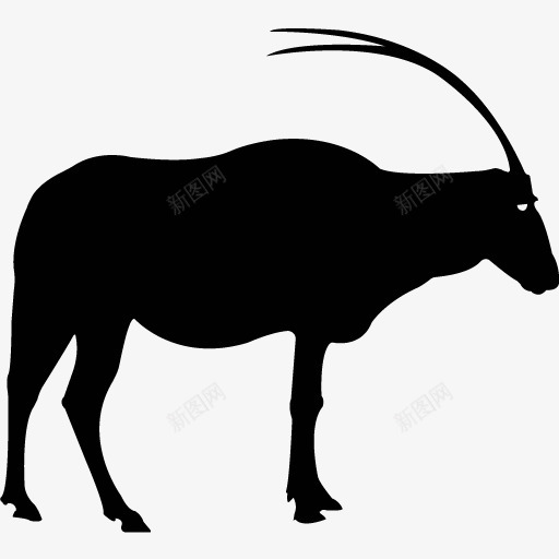 各类动物昆虫黑白剪影AI矢量图案图标合集510png免抠素材_新图网 https://ixintu.com 各类 动物 昆虫 黑白 剪影 矢量 矢量图 图案 图标 合集
