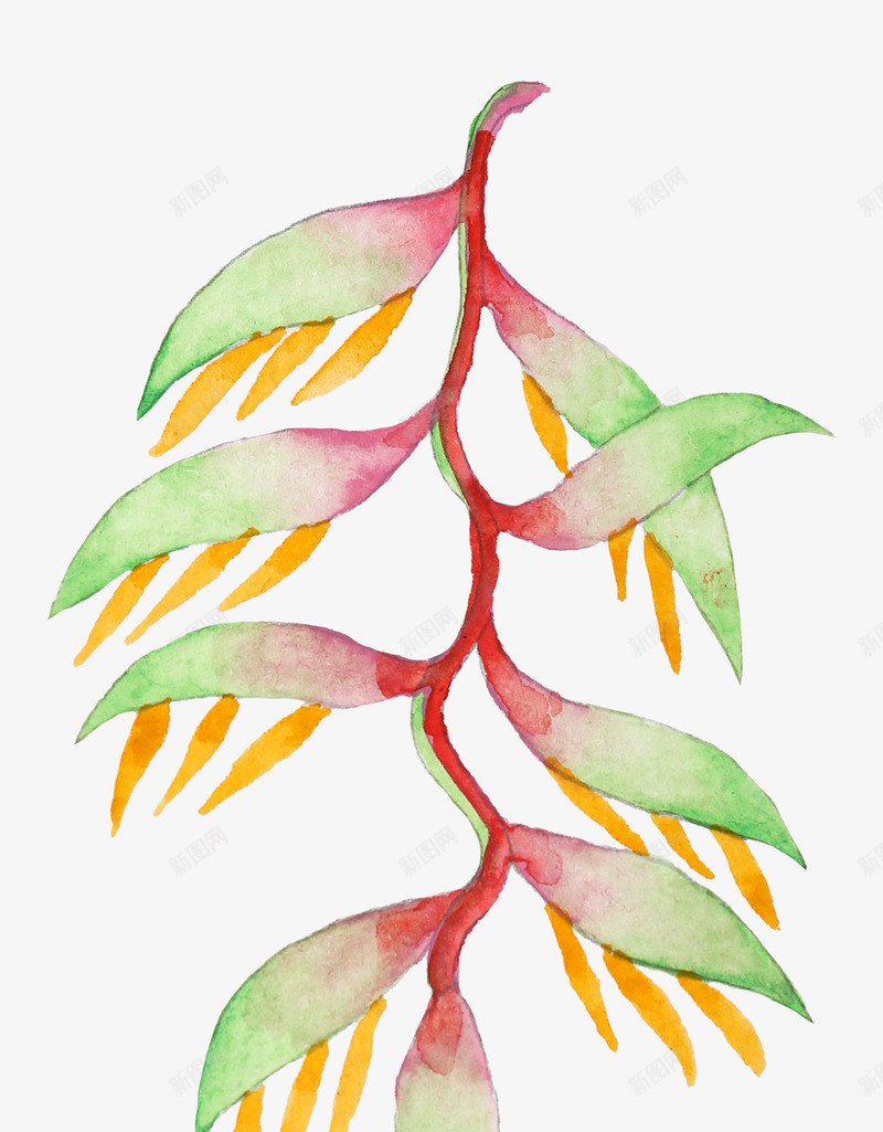 手绘水彩森系植物花卉火烈鸟贺卡装饰图案手账幅30png免抠素材_新图网 https://ixintu.com 手绘 水彩 森系 植物 花卉 火烈 烈鸟 贺卡 装饰 图案 手账幅