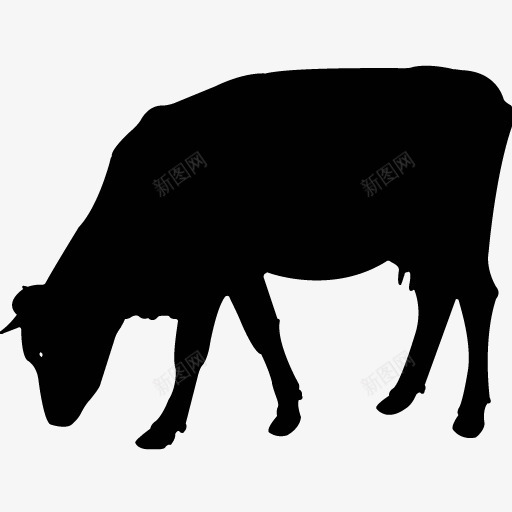 各类动物昆虫黑白剪影AI矢量图案图标合集302png免抠素材_新图网 https://ixintu.com 各类 动物 昆虫 黑白 剪影 矢量 矢量图 图案 图标 合集