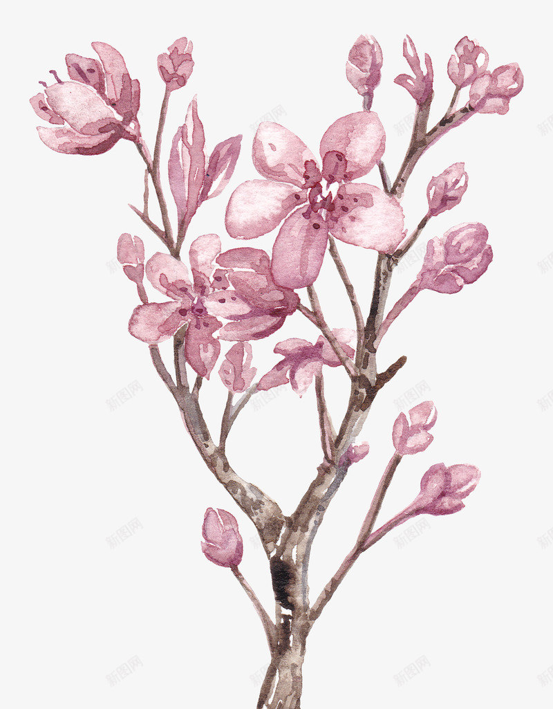 樱花水墨水彩画分层PSDDOOOORcom2png_新图网 https://ixintu.com 樱花 水墨 水彩画 分层