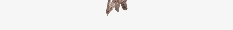樱花水墨水彩画分层PSDDOOOORcom2png_新图网 https://ixintu.com 樱花 水墨 水彩画 分层