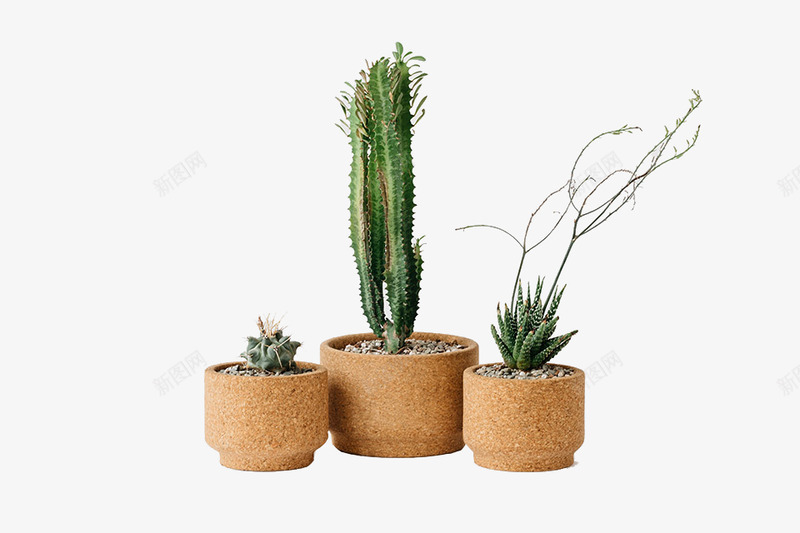 未标题3png免抠素材_新图网 https://ixintu.com 未标 标题