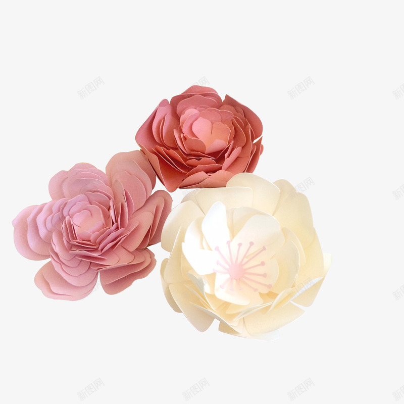 三朵花png免抠素材_新图网 https://ixintu.com 三朵