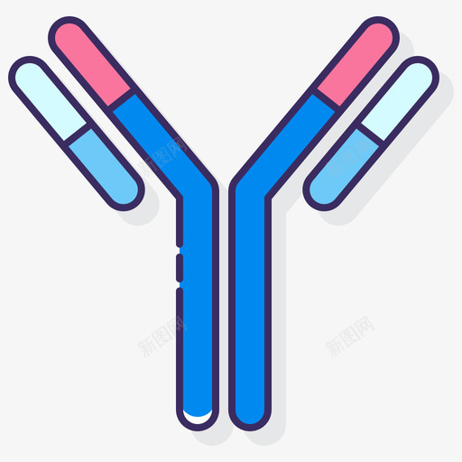 抗体解剖学11线状颜色svg_新图网 https://ixintu.com 抗体 解剖学 线状 颜色