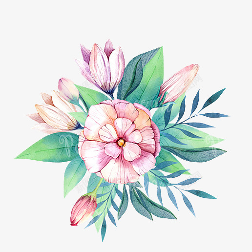插画花11png免抠素材_新图网 https://ixintu.com 插画