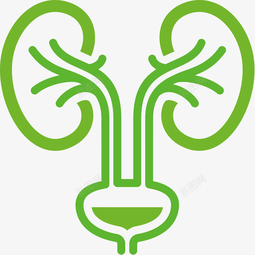 肾透2svg_新图网 https://ixintu.com 肾透