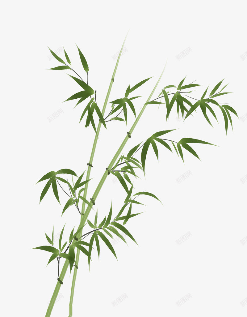 古风意境水墨竹子水彩手绘插画png免抠素材_新图网 https://ixintu.com 古风 意境 水墨 竹子 水彩 手绘 插画