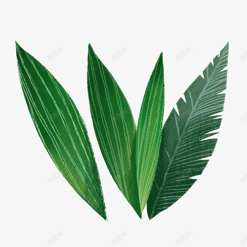 绿叶叶子植物植被png免抠素材_新图网 https://ixintu.com 绿叶 叶子 植物 植被