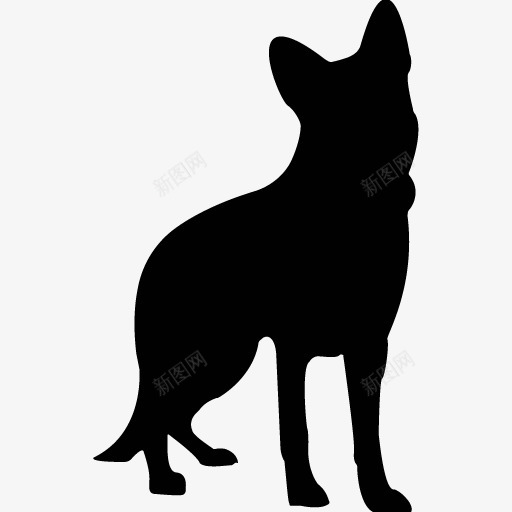 各类动物昆虫黑白剪影AI矢量图案图标合集150png免抠素材_新图网 https://ixintu.com 各类 动物 昆虫 黑白 剪影 矢量 矢量图 图案 图标 合集