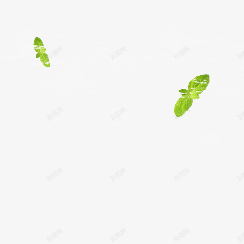 冰薄荷清爽png免抠素材_新图网 https://ixintu.com 薄荷 清爽