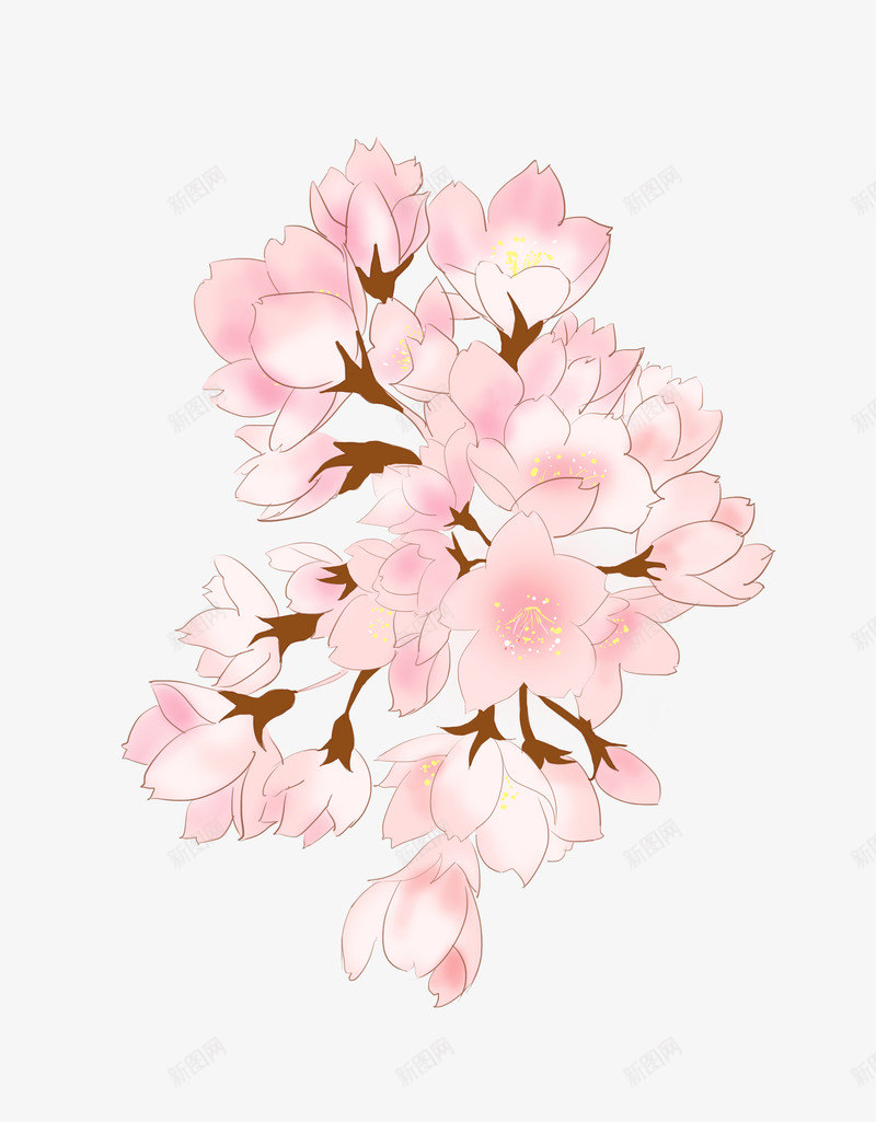 免扣仿真鲜花手绘画水彩画干花水墨小草png免抠素材_新图网 https://ixintu.com 免扣 仿真 鲜花 手绘 绘画 水彩画 干花 水墨 小草