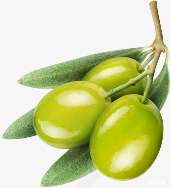 水果蔬菜生鲜食材png免抠素材_新图网 https://ixintu.com 水果 蔬菜 生鲜 鲜食