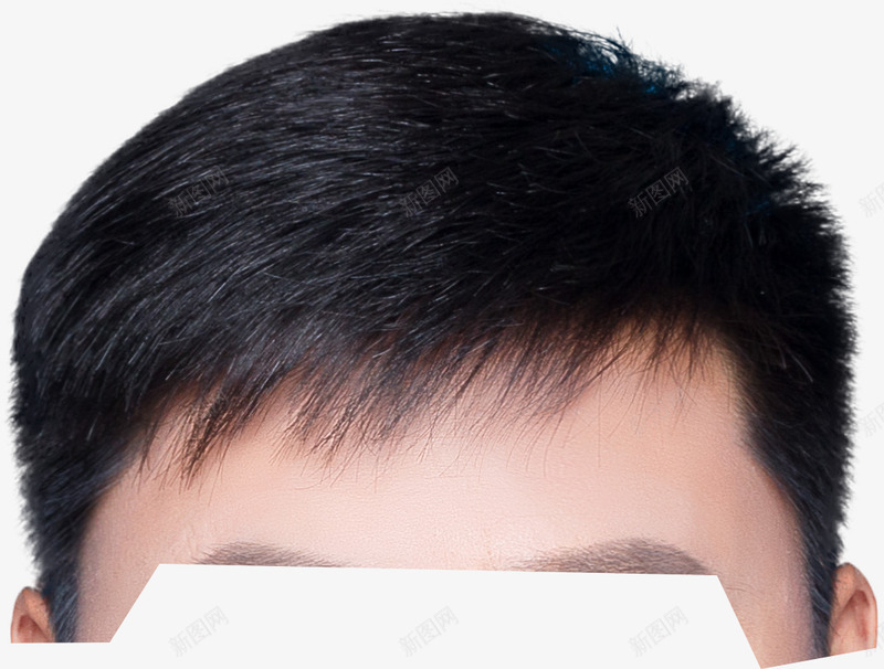 五官0头发男png免抠素材_新图网 https://ixintu.com 五官 头发