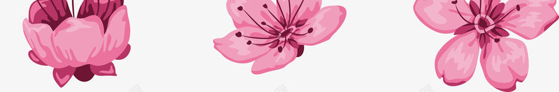 桃花矢量图形png免抠素材_新图网 https://ixintu.com 桃花 矢量 矢量图 图形