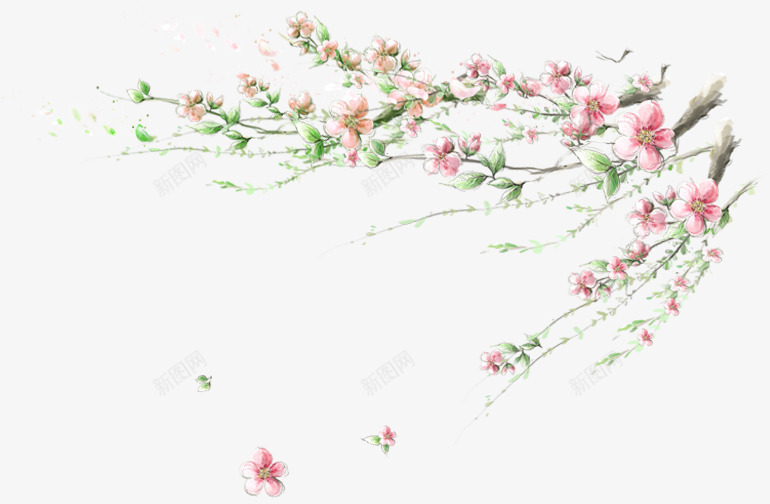唯美水彩手绘古风花卉插画中国风装饰透明PS设计png免抠素材_新图网 https://ixintu.com 唯美 水彩 手绘 古风 花卉 插画 中国 国风 装饰 透明 设计