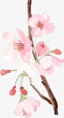 唯美水彩手绘古风花卉插画中国风装饰透明PS设计素材