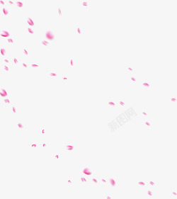 粉色花瓣飘落漂浮春天春色花卉花朵漂浮图素材