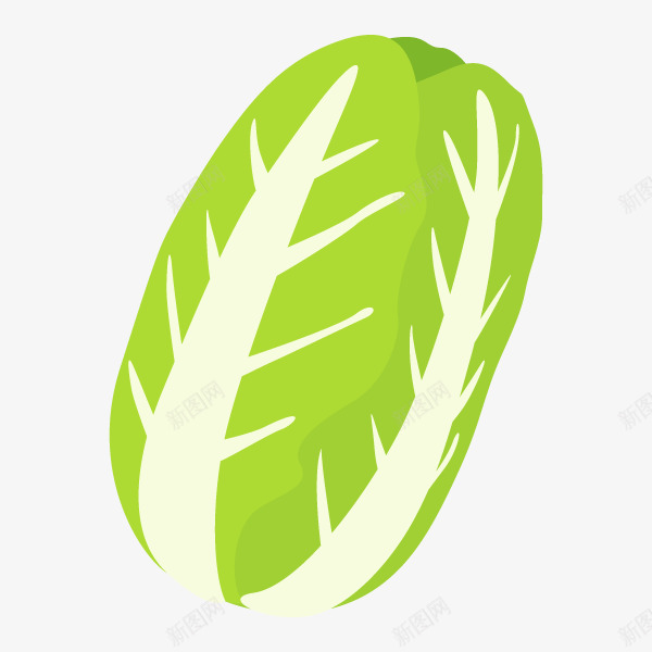 白菜无料花植物Flodeillustrationpng_新图网 https://ixintu.com 白菜 无料 植物