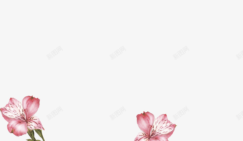 唯美清新森林系手绘花卉婚礼请柬卡片PSD免扣设计png免抠素材_新图网 https://ixintu.com 唯美 清新 森林 手绘 花卉 婚礼 请柬 卡片 免扣 设计