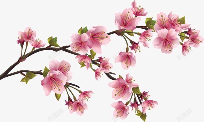 古风中国风仙侠十里桃花桃树免扣装饰影楼后期摄影PSpng免抠素材_新图网 https://ixintu.com 古风 风中 国风 仙侠 十里 桃花 桃树 免扣 装饰 影楼 后期