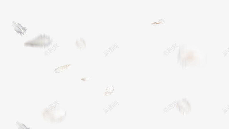 白色羽毛鸟羽毛掉落散落羽毛轻盈飘落飞舞png免抠素材_新图网 https://ixintu.com 白色 羽毛 天鹅毛 鸟羽毛 掉落 散落 羽毛 轻盈 飘落 飞舞