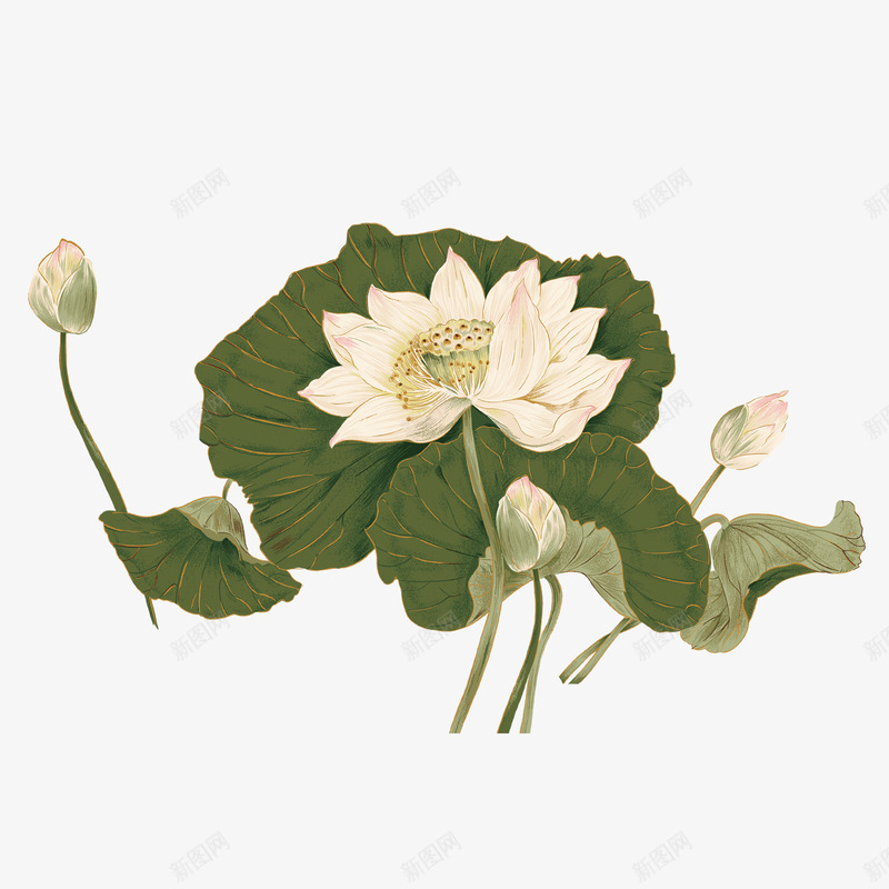 唯美古风水彩手绘荷花荷叶古典水墨莲花免扣透明PS设png免抠素材_新图网 https://ixintu.com 唯美 古风 水彩 手绘 荷花 荷叶 古典 水墨 莲花 免扣 透明