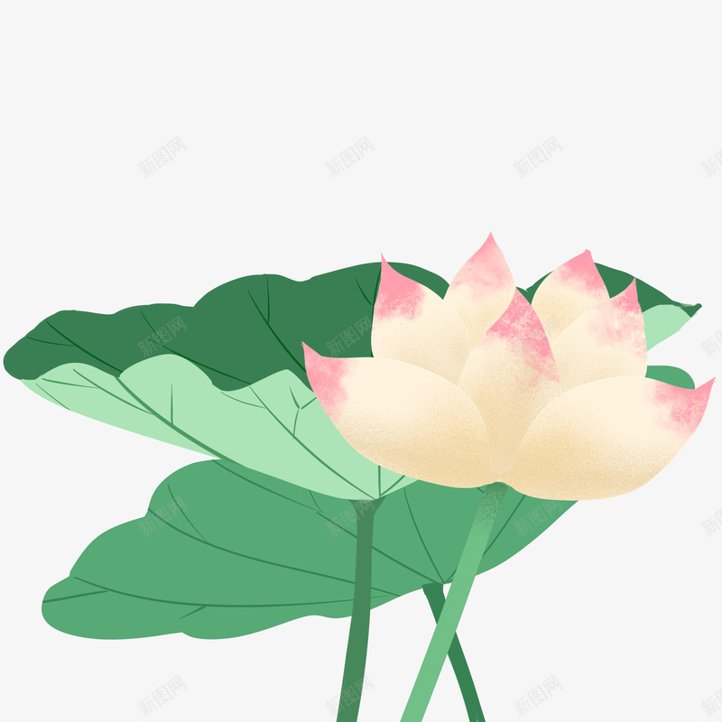 唯美古风水彩手绘荷花荷叶古典水墨莲花免扣透明PS设png免抠素材_新图网 https://ixintu.com 唯美 古风 水彩 手绘 荷花 荷叶 古典 水墨 莲花 免扣 透明