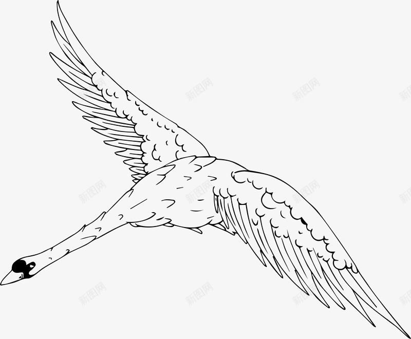 线描暗金质感仙鹤叶子纹理卡片底纹AI矢量PSpng免抠素材_新图网 https://ixintu.com 线描 暗金 质感 仙鹤 叶子 纹理 卡片 底纹 矢量