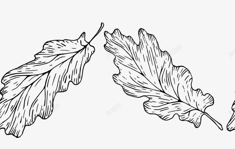 线描暗金质感仙鹤叶子纹理卡片底纹AI矢量PSpng免抠素材_新图网 https://ixintu.com 线描 暗金 质感 仙鹤 叶子 纹理 卡片 底纹 矢量