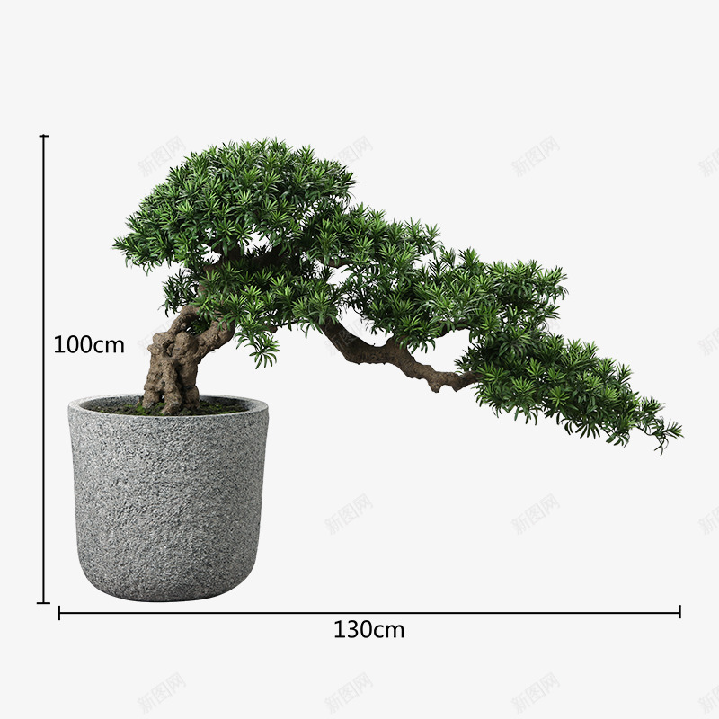 中式仿真大型落地罗汉松树绿植软装会所茶艺室端景通道png免抠素材_新图网 https://ixintu.com 中式 仿真 大型 落地 罗汉 松树 绿植 软装 会所 茶艺 室端